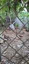 BÁN ĐẤT đường Vũ Lăng gần Tôn Đản