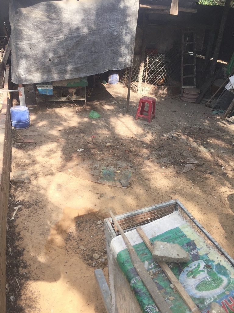 BÁN ĐẤT KIỆT TRƯỜNG CHINH