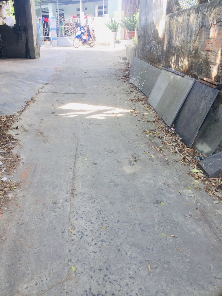 BÁN ĐẤT KIỆT TRƯỜNG CHINH