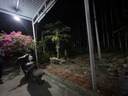 466M2 CÓ NHÀ CẤP 4