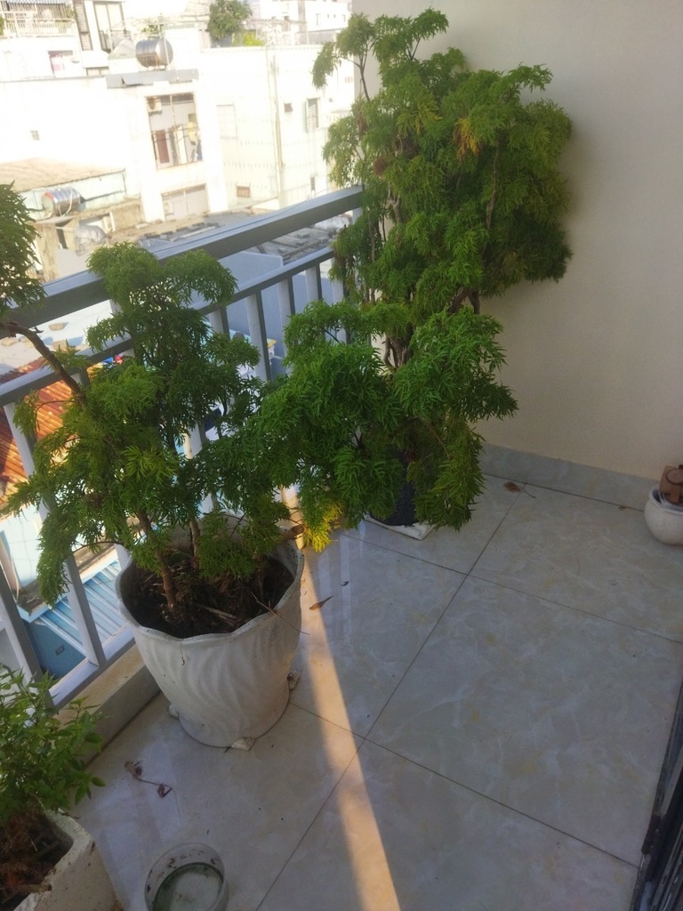 BÁN NHÀ NHÀ 4 TẦNG KHU PHỐ TÂY AN THƯỢNG GẦN BIỂN