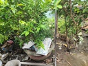 LÔ ĐẤT NGANG RỘNG SỔ CHUẨN ĐẸP