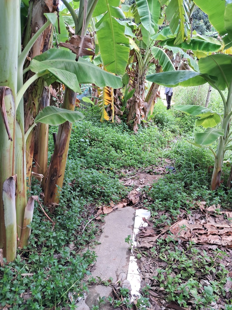 ĐẤT KIỆT TRƯỜNG CHINH 373M2