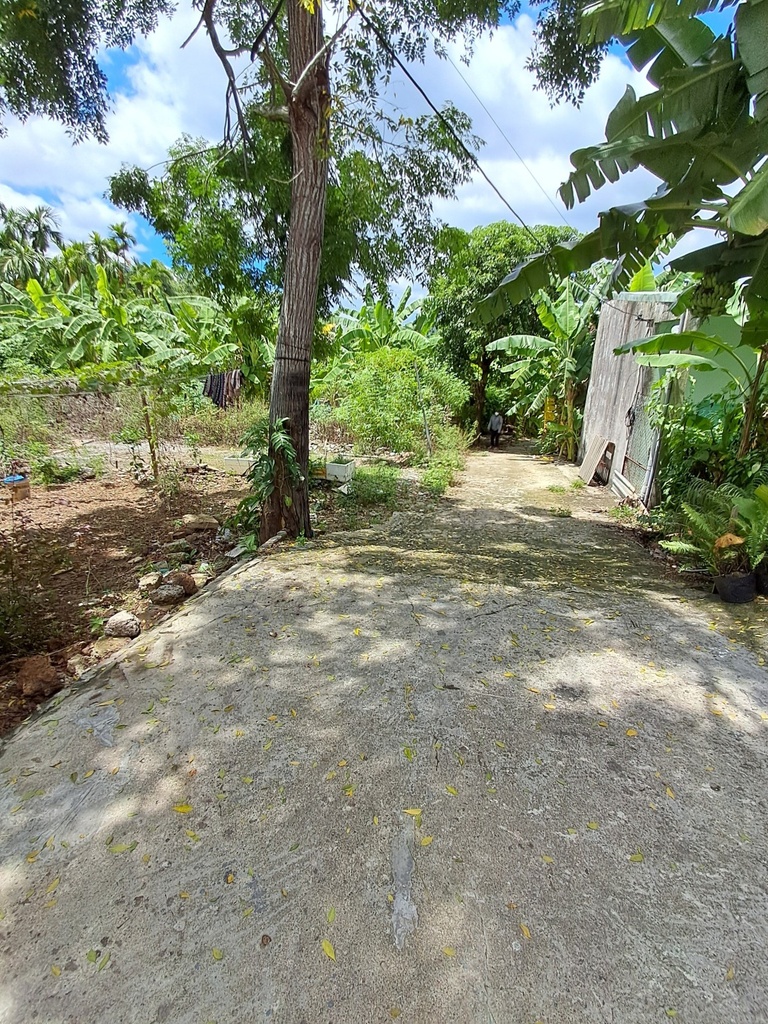 ĐẤT KIỆT TRƯỜNG CHINH 373M2