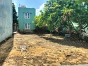BÁN ĐẤT KIỆT TÔN ĐẢN