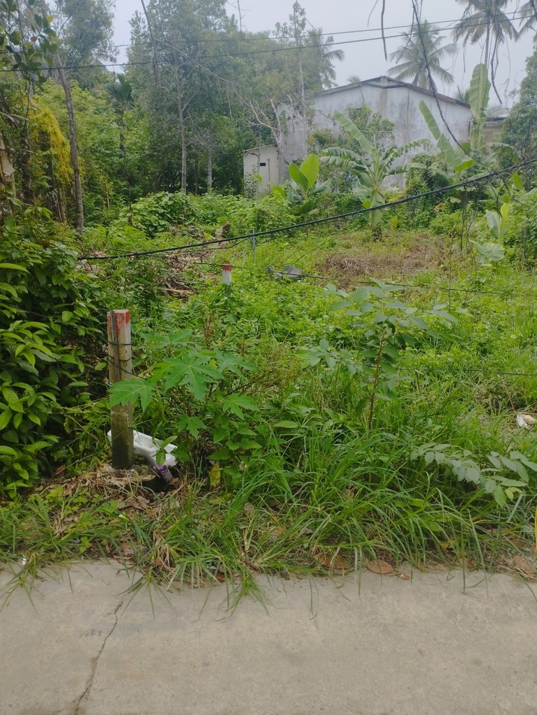 BÁN ĐẤT KIỆT Ô TÔ , SẮP QUY HOẠCH ĐƯỜNG 5.5M.