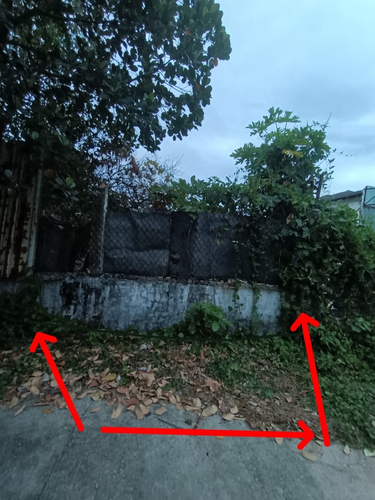 BÁN ĐẤT TÔN ĐẢN 79M2