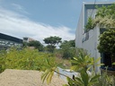 Bán đất Phạm Đình Bân 100m2