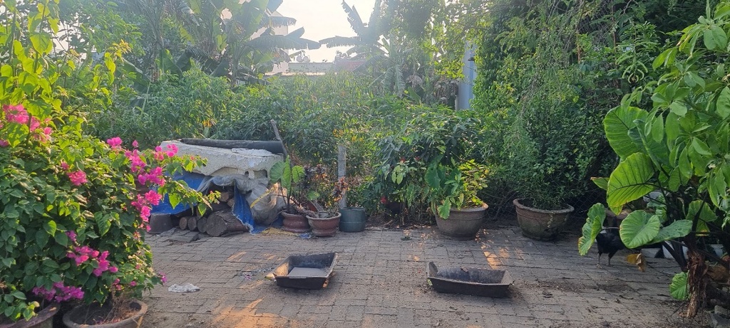 BÁN ĐẤT HUỲNH LẮM - SỔ VUÔNG VỨC - GẦN CÔNG VIÊN .