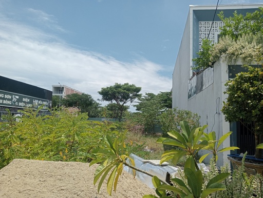[446] Bán đất Phạm Đình Bân 100m2