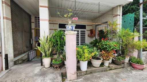 [549] BÁN NHÀ THỔ SƠN 1